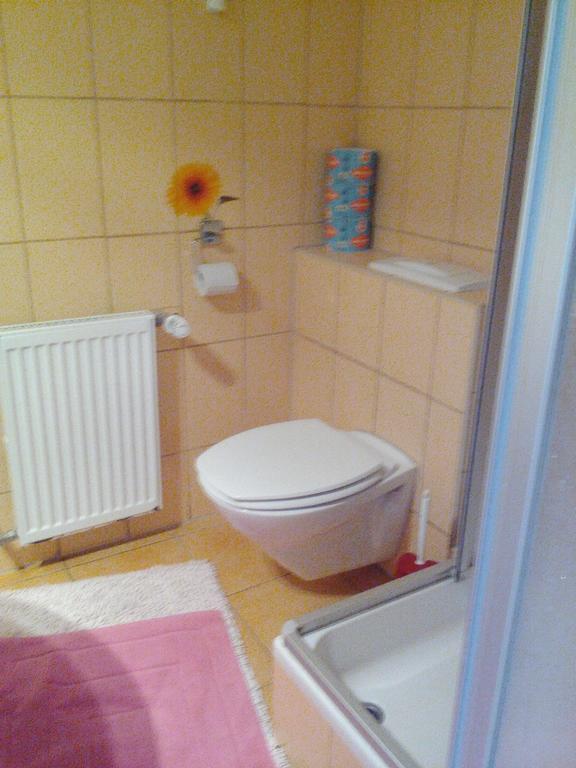 Apartmanydanielova Česká Lípa Exteriér fotografie